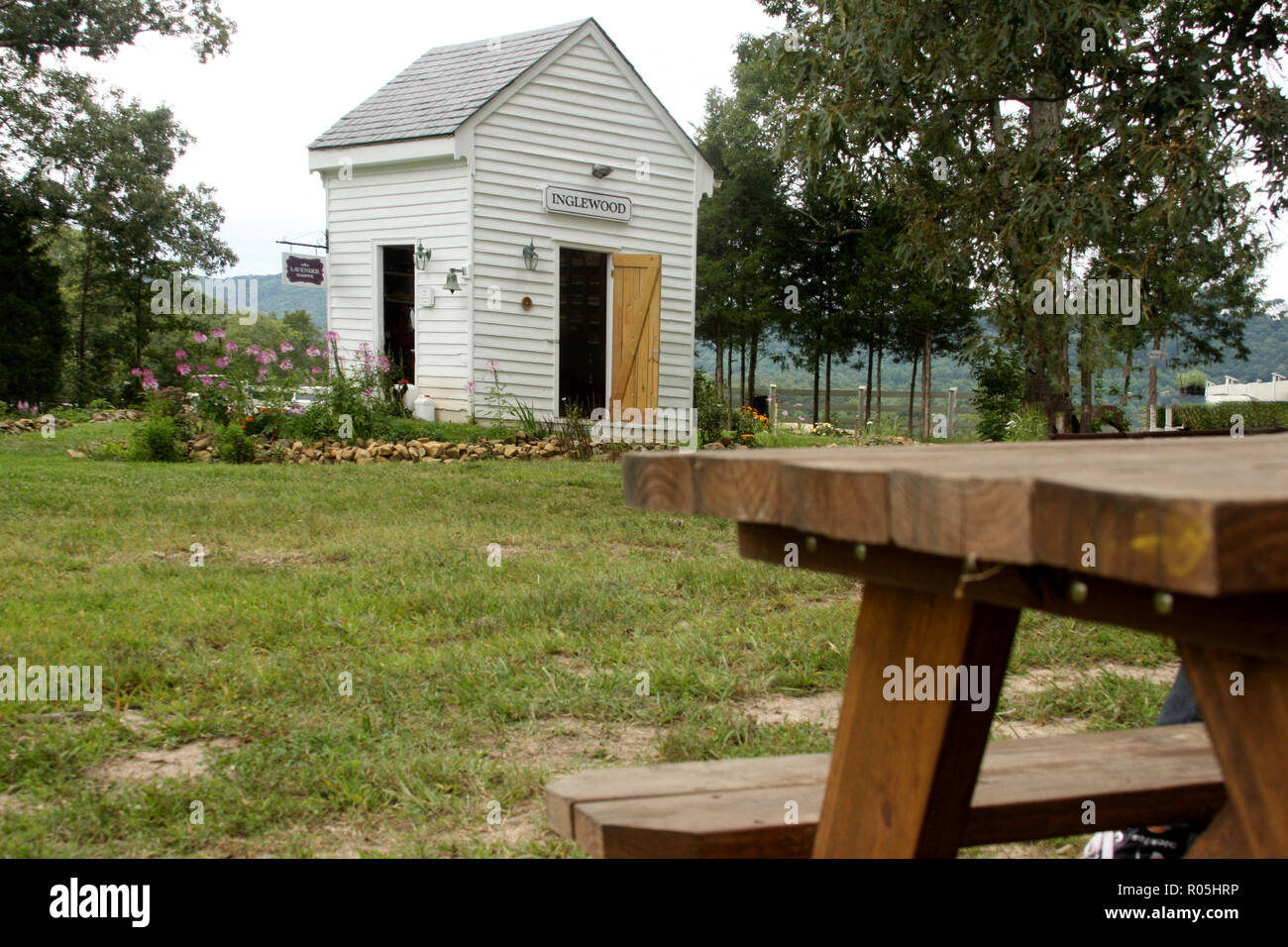 Old smokehouse transformed into farm store at Inglewood Lavender Farm, Virginia Stock Photo