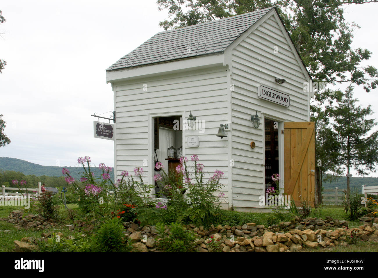 Old smokehouse transformed into farm store at Inglewood Lavender Farm, Virginia, USA Stock Photo