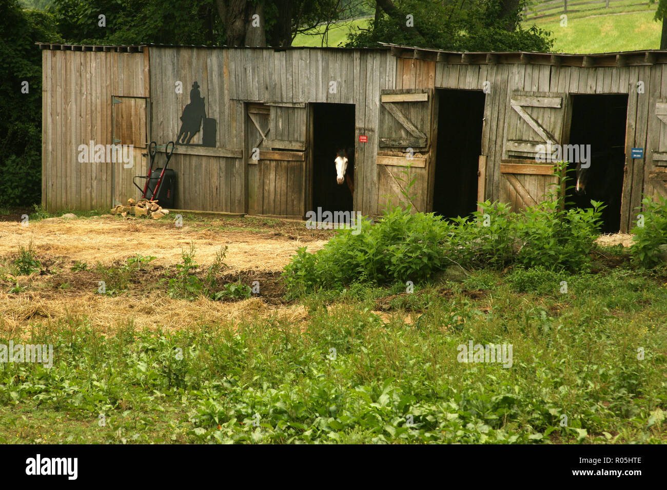 A Rudimentary Stable Simple horse hi-res stock photography and images - Alamy