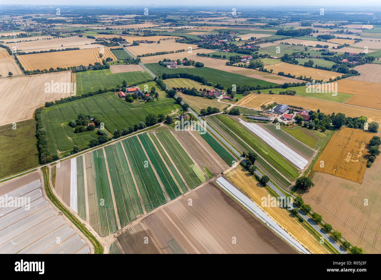 Aerial view, organic farm Angenendt, Mersch, Drensteinfurt, Münsterland, North Rhine-Westphalia, Germany, Europe, DEU, birds-eyes view, aerial view, a Stock Photo