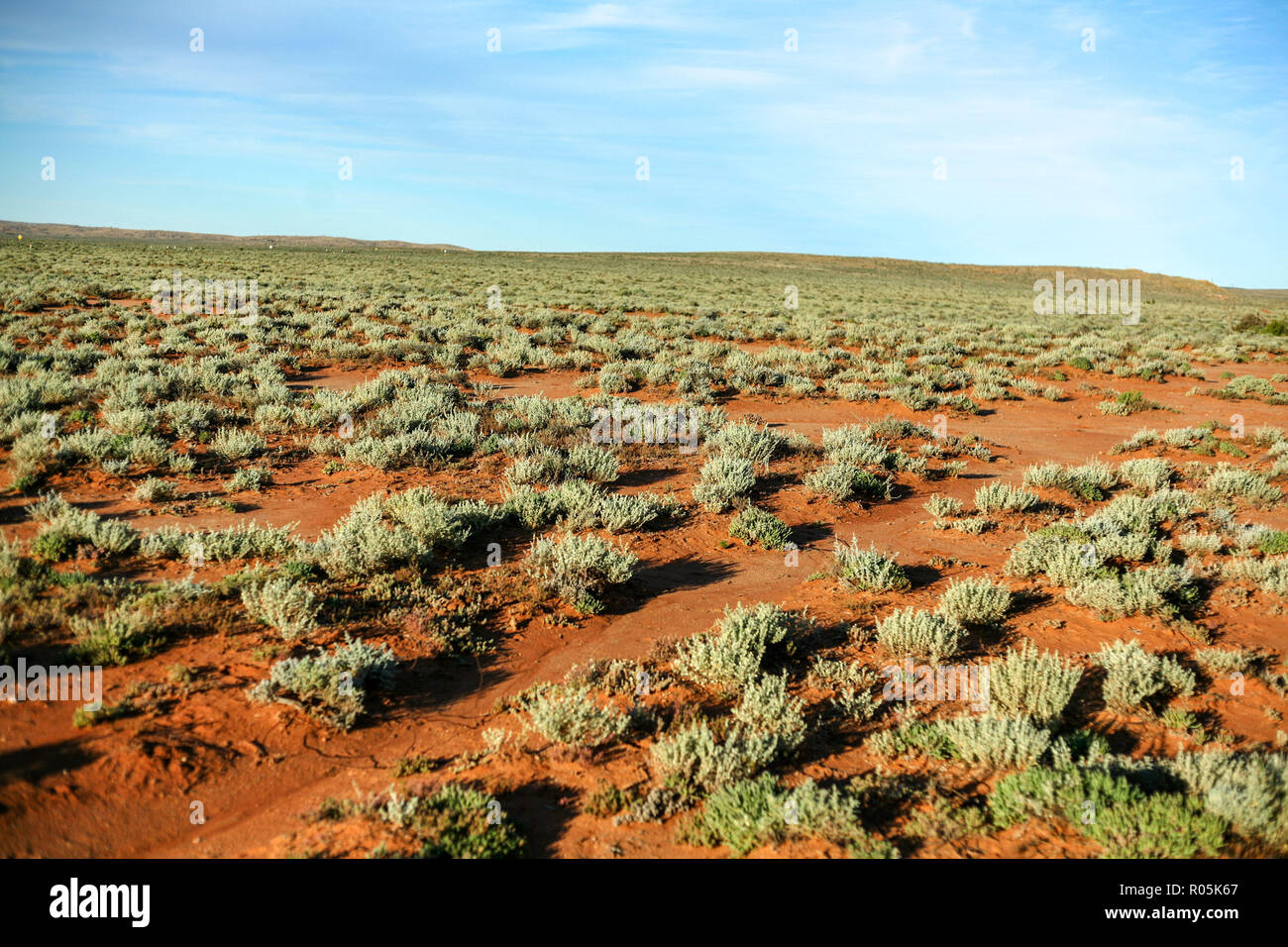 Salt bush hires stock photography and images Alamy