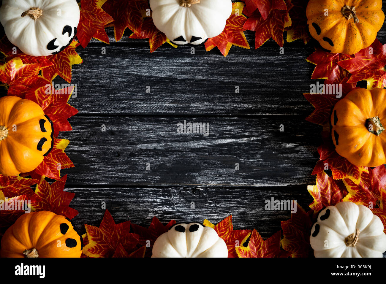 Top view of white and yellow ghost pumpkins with Colorful Autumn leaves ...