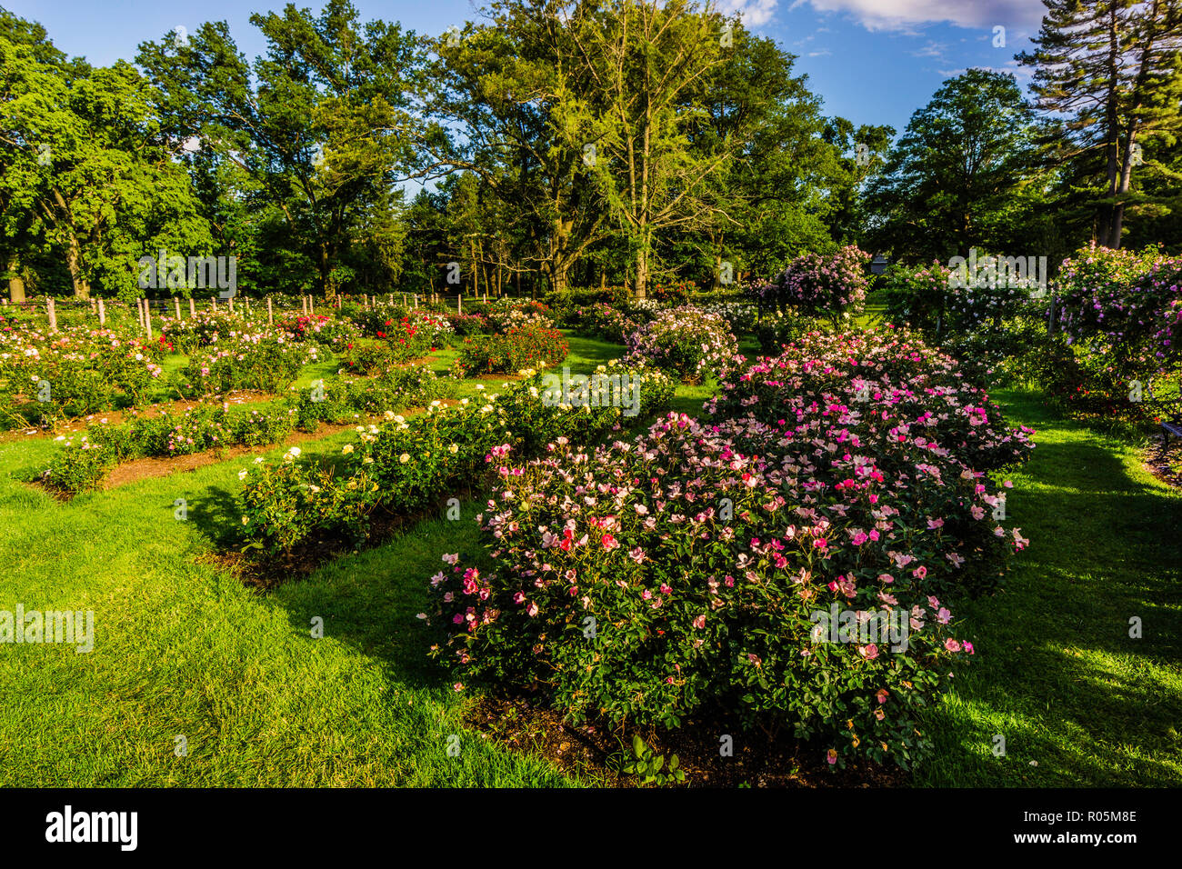 Elizabeth Park Hartford, Connecticut, USA Stock Photo - Alamy