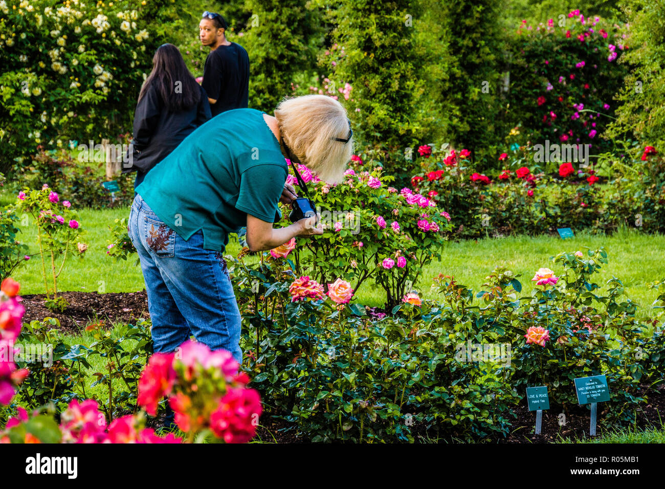 Elizabeth Park   Hartford, Connecticut, USA Stock Photo