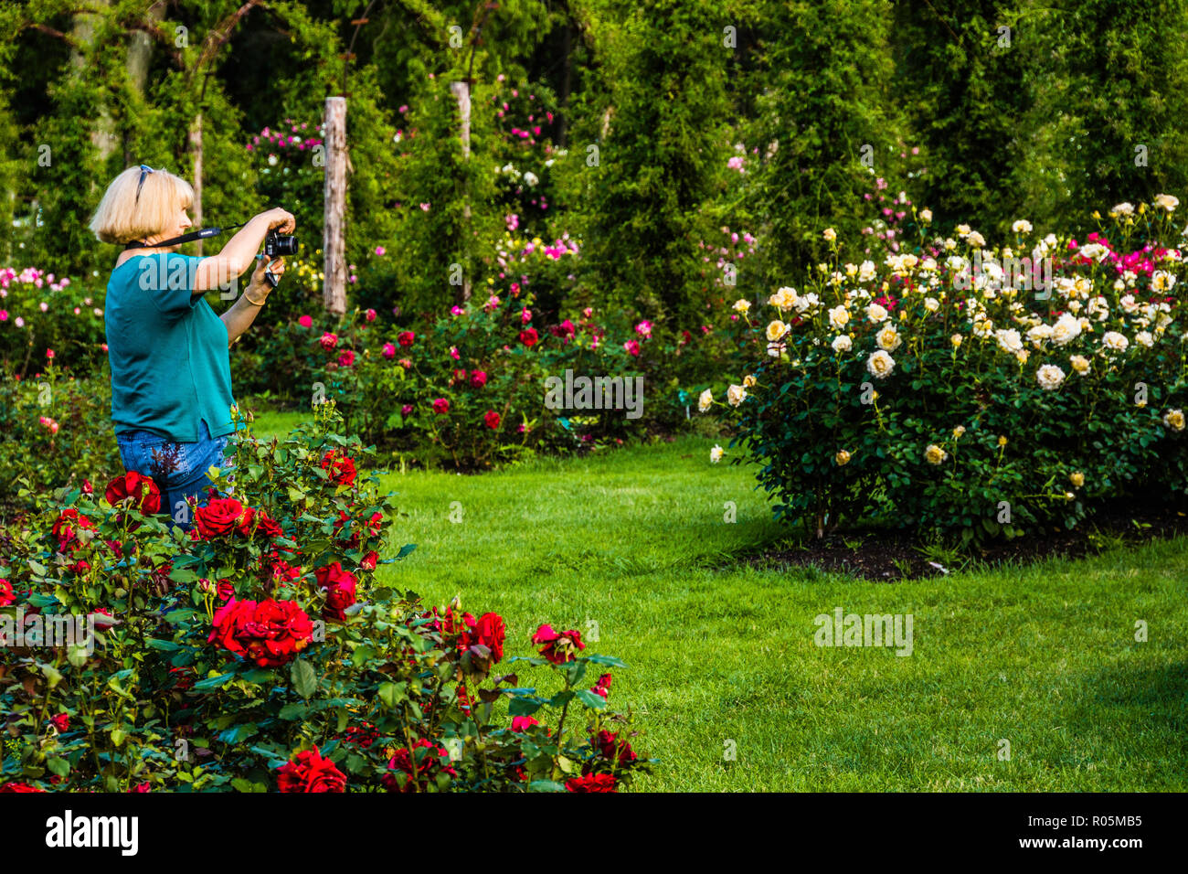 Elizabeth Park   Hartford, Connecticut, USA Stock Photo