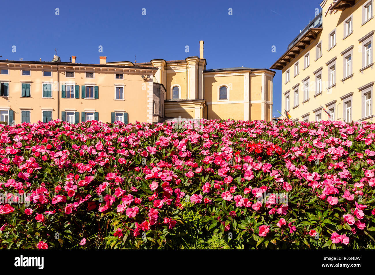 Colourful flowers at Riva del Garda on Lake Garda in northern Italy Stock Photo