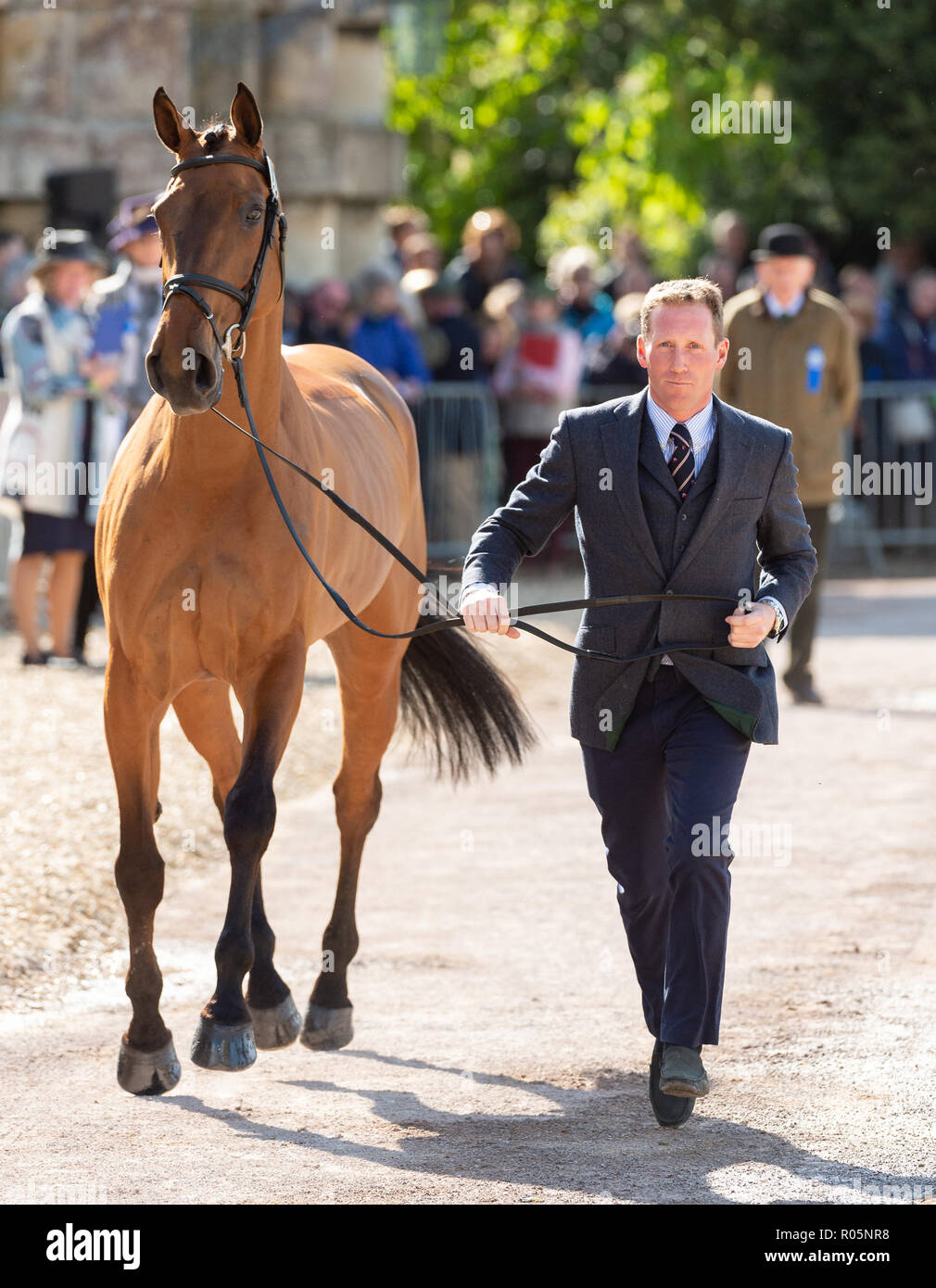Oliver Townend and COOLEY SRS during the vets inspection, Mitsubishi Motors Badminton Horse Trials, Badminton, Gloucestershire, 2018 Stock Photo