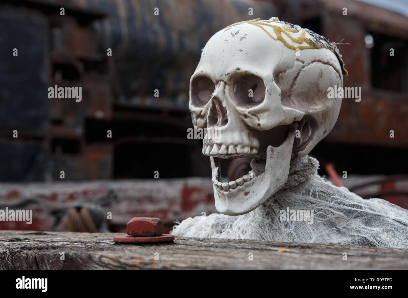 A manufactured human skull with open mouth as if it were screaming. Stock Photo