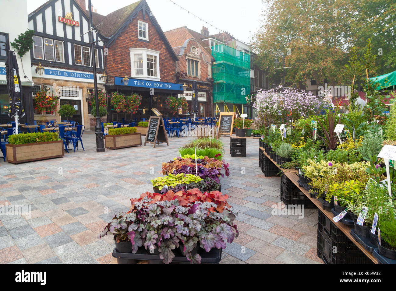 Flower stall on Salisbury Market Wiltshire UK Stock Photo Alamy