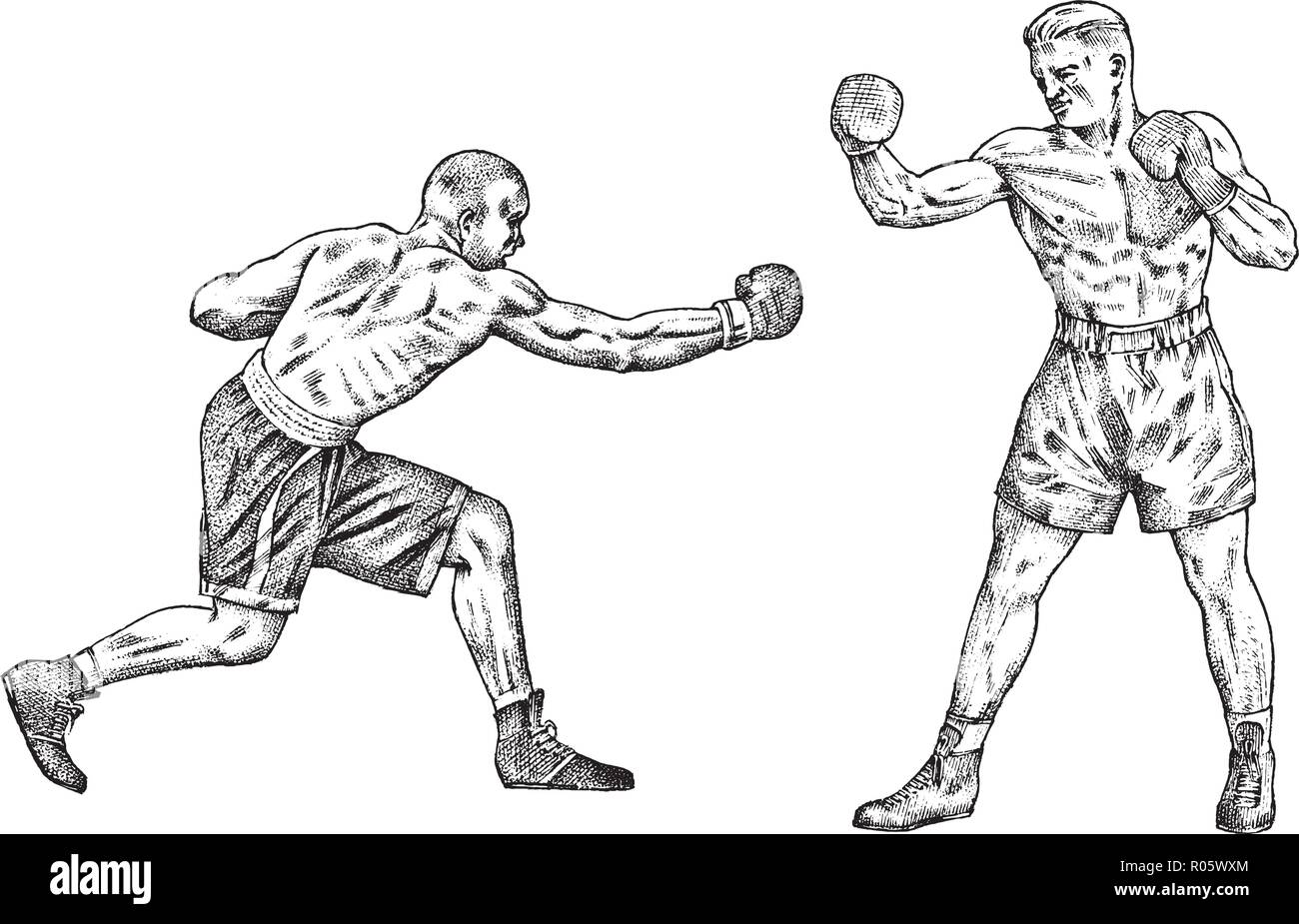 Boxer drawing hires stock photography and images Alamy
