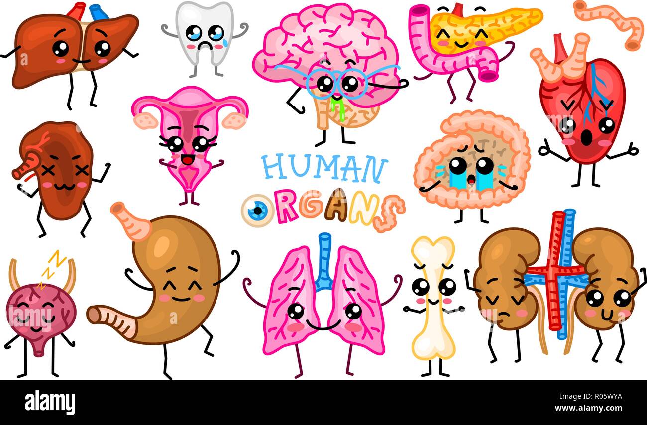 Set of organs. Cute happy human, smiling characters. Vector pins, cartoon kawaii icons. Healthy heart, intestine, pancreas, brain, stomach, liver, bladder, uterus organ, lungs, kidneys, gall bladder. Stock Vector
