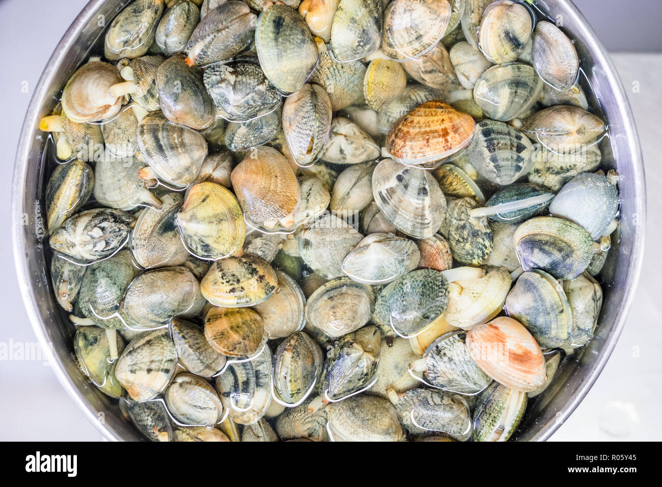 Clams in water in a silver bowl, Poland Stock Photo