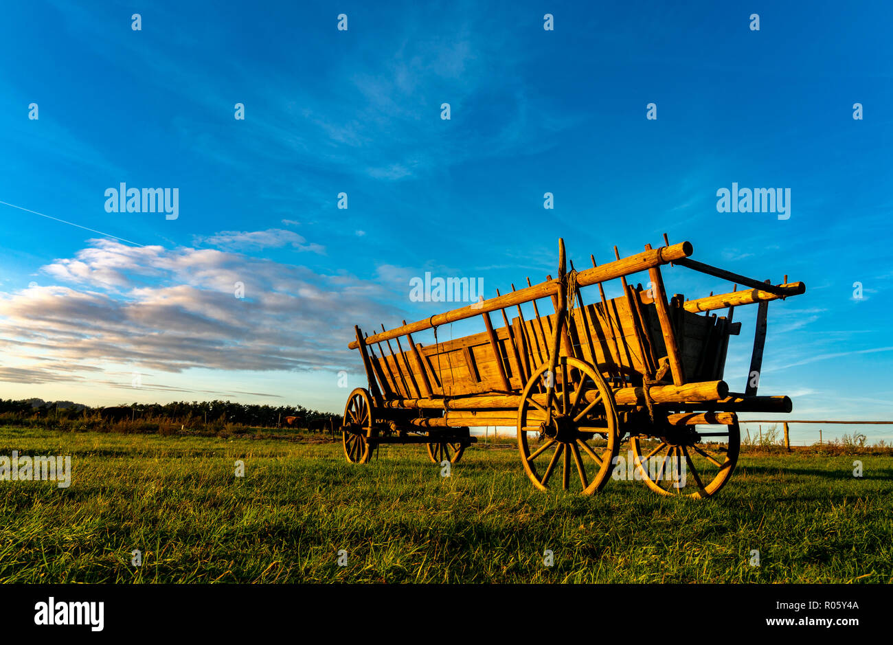 Hay wagon, field, sunset, flatness, Saxon Switzerland, Germany Stock Photo