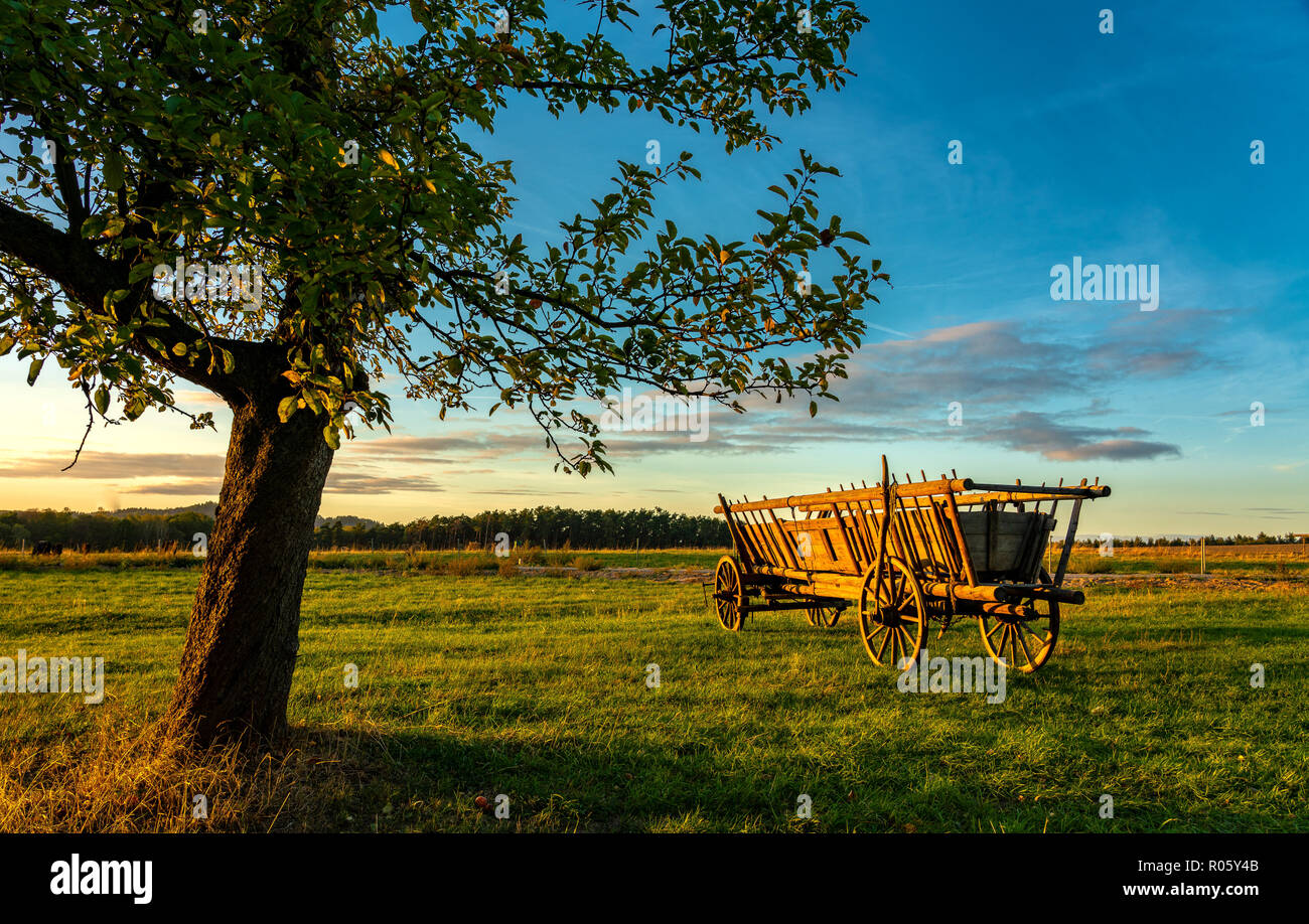 Hay wagon, apple tree, sunset, flatness, Saxon Switzerland, Germany Stock Photo