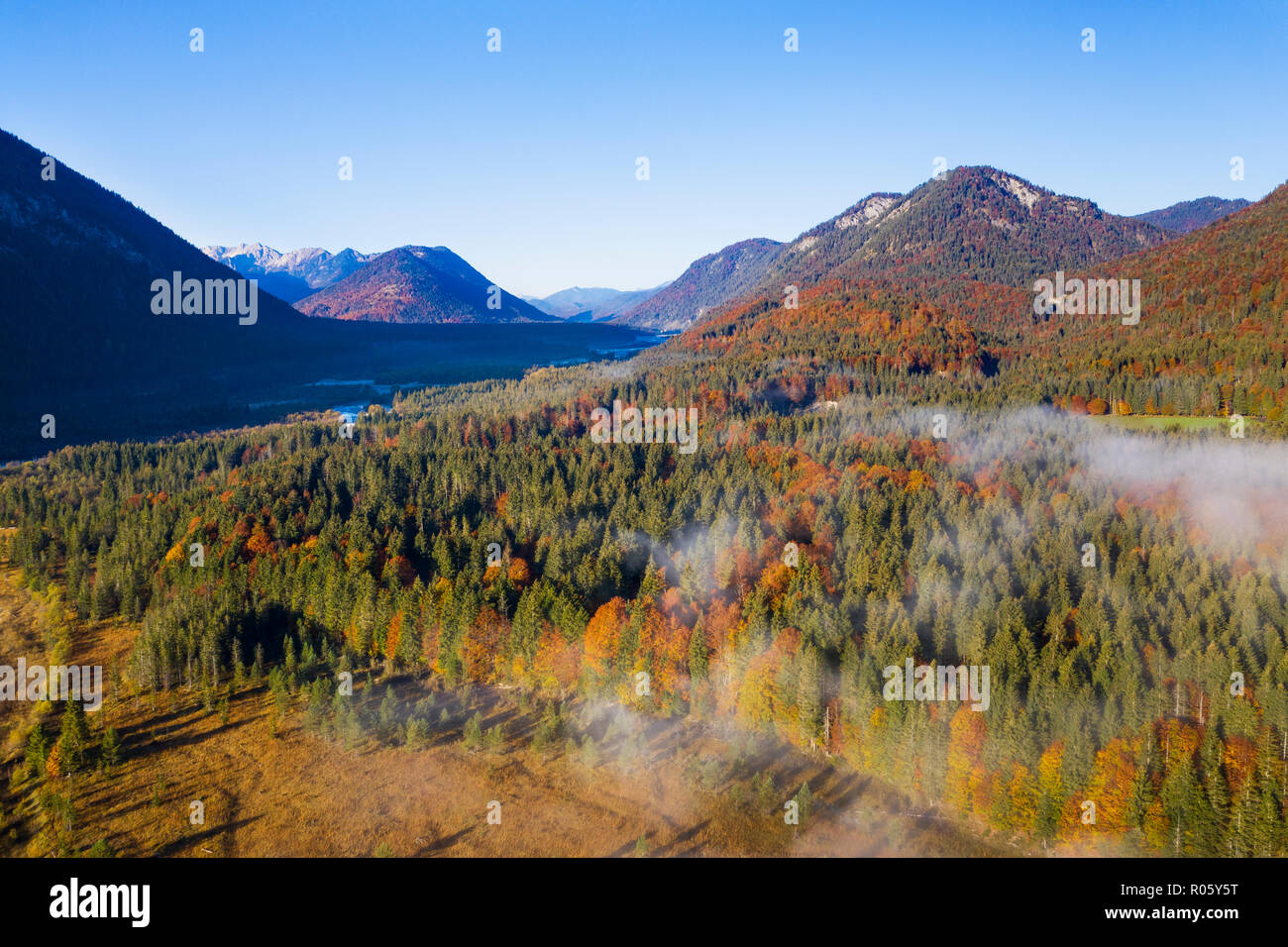 Autumn mixed forest in the Isar valley, near Sylvensteinsee, drone image, Lenggries, Isarwinkel, Upper Bavaria, Bavaria, Germany Stock Photo