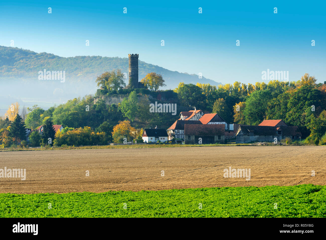 Landscape with morning fog in autumn, castle ruins and village Altenburg, Felsberg, North Hesse, Hesse, Germany Stock Photo