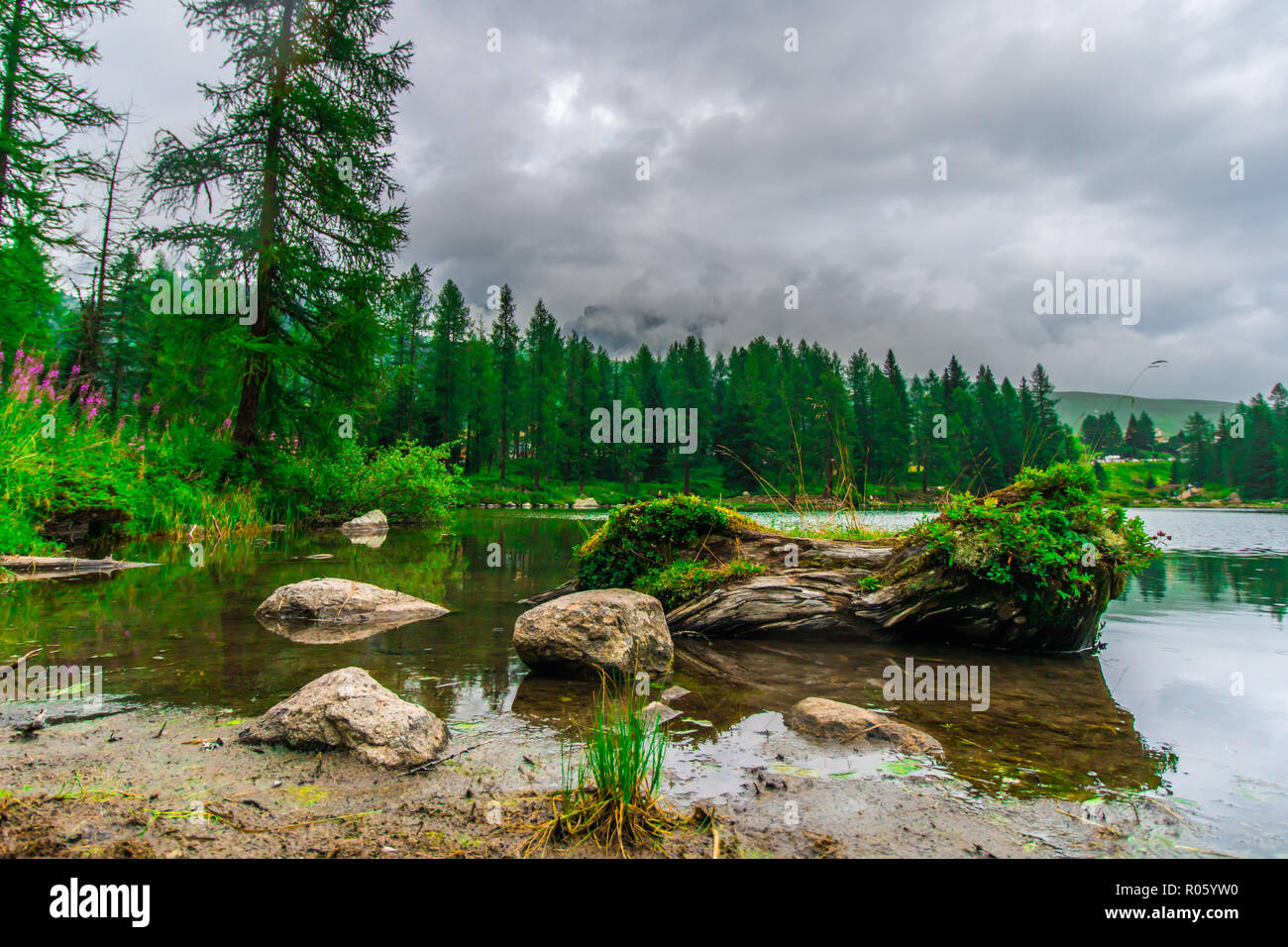 Lake San Pellegrino in summer, surrounded by nature Stock Photo