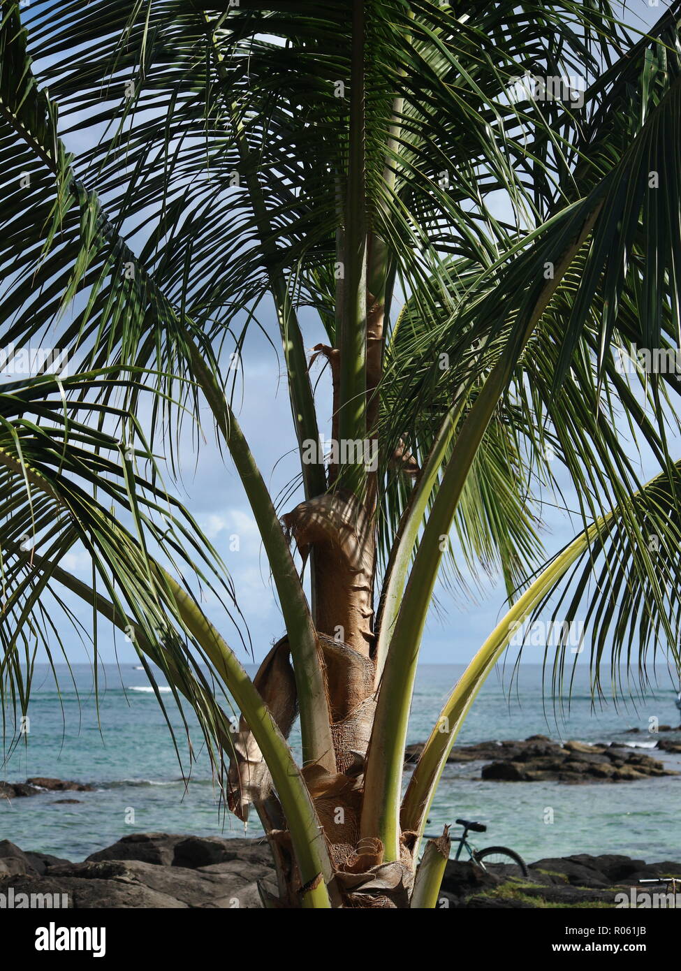 View of Sea Stock Photo