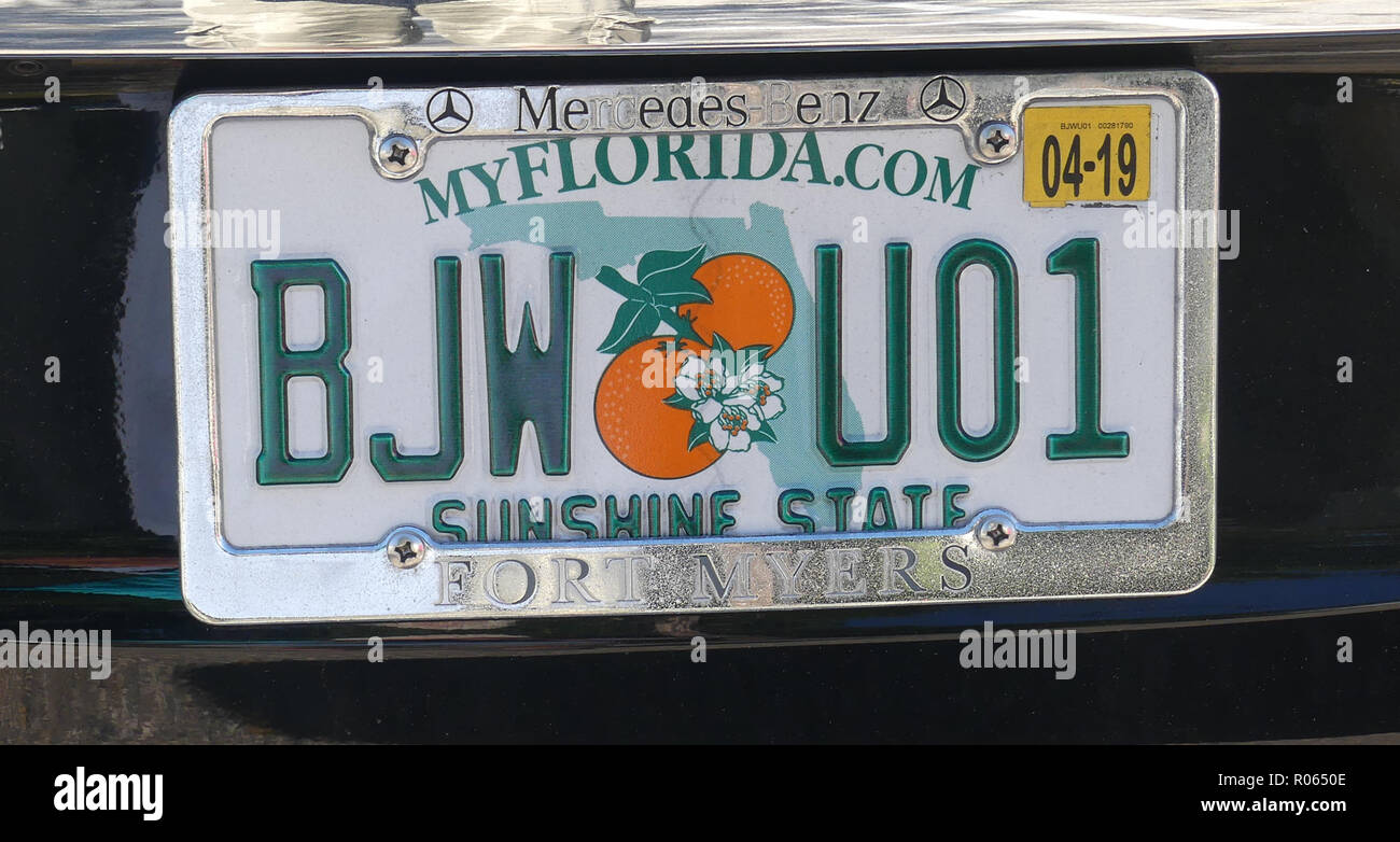 FLORIDA CAR REGISTRATION PLATE. Photo: Tony Gale Stock Photo