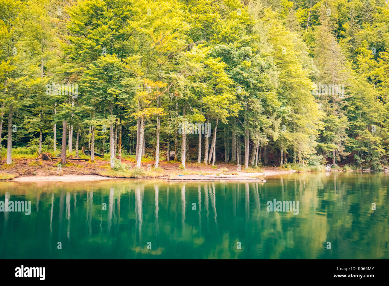Beautiful trees, lake reflection, tranquil nature. Forest and mountain pass, relaxing scenery. Artistic nature background, trees and lake view Stock Photo