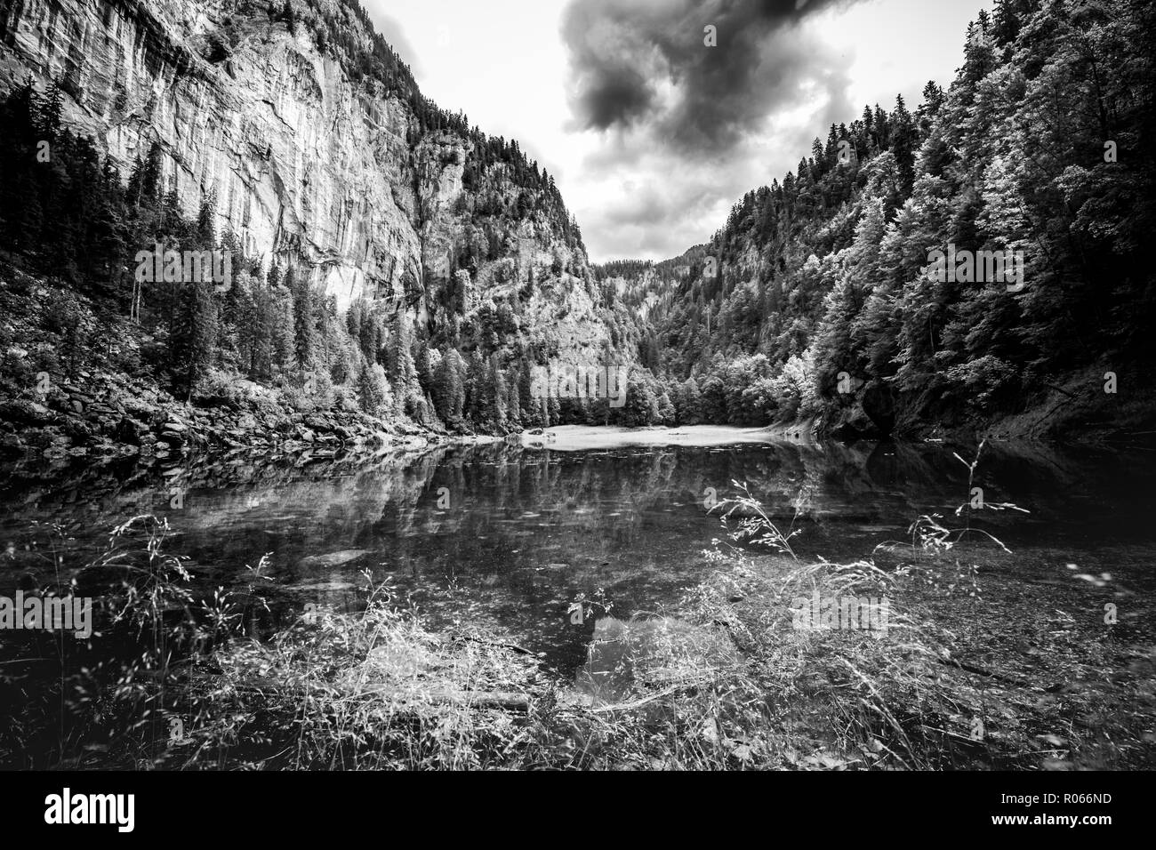 Dramatic mountain landscape, black and white image. Abstract process, pine forest and lake water reflection. Nature background Stock Photo