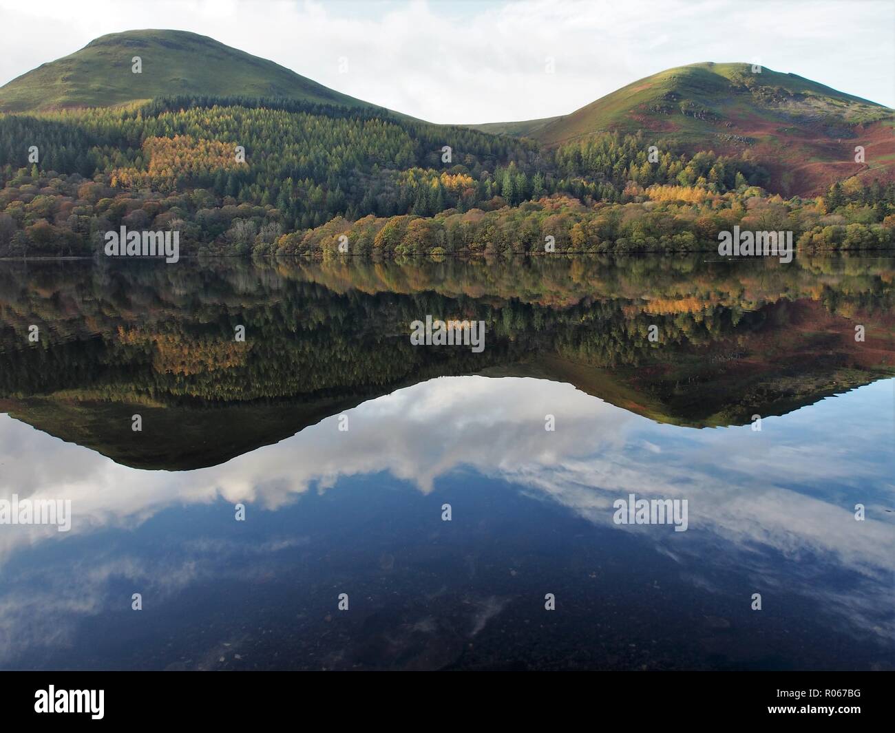 Holme Wood and hills above reflected in the still Loweswater, Lake District National Park, Cumbria, England, United Kingdom Stock Photo