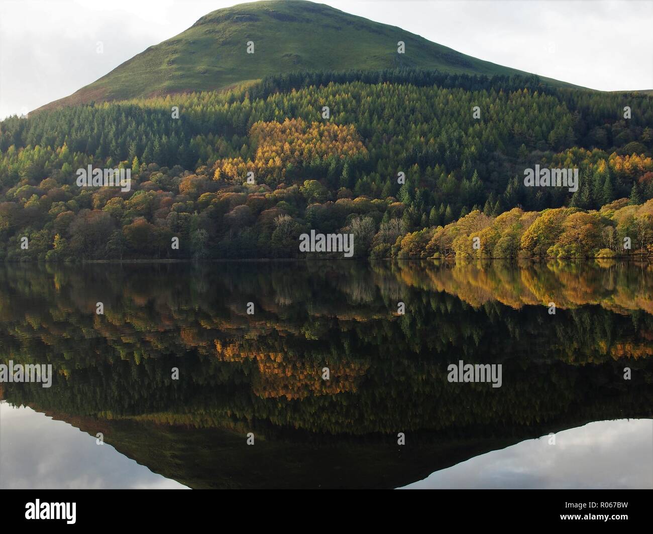 Carling Knott and Holme Wood reflected in Loweswater, Lake District National Park, Cumbria, England, United Kingdom Stock Photo