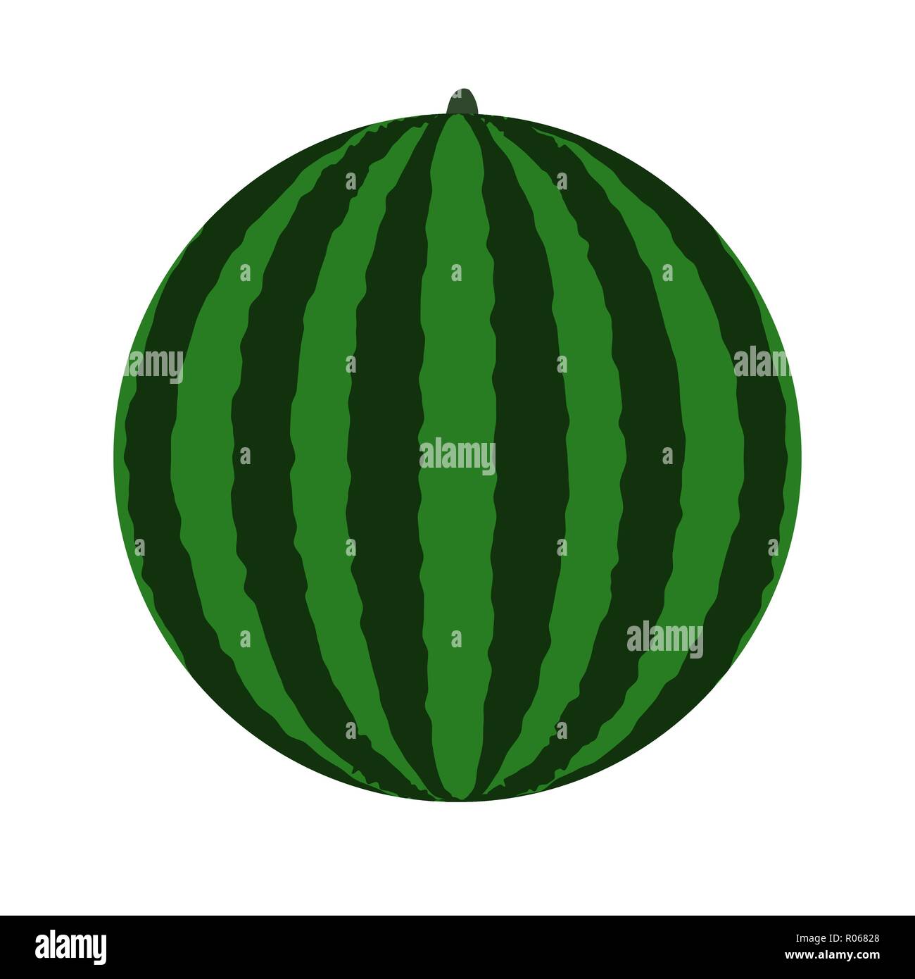 Green Watermelon vector icon. Illustration for your design Stock Vector ...