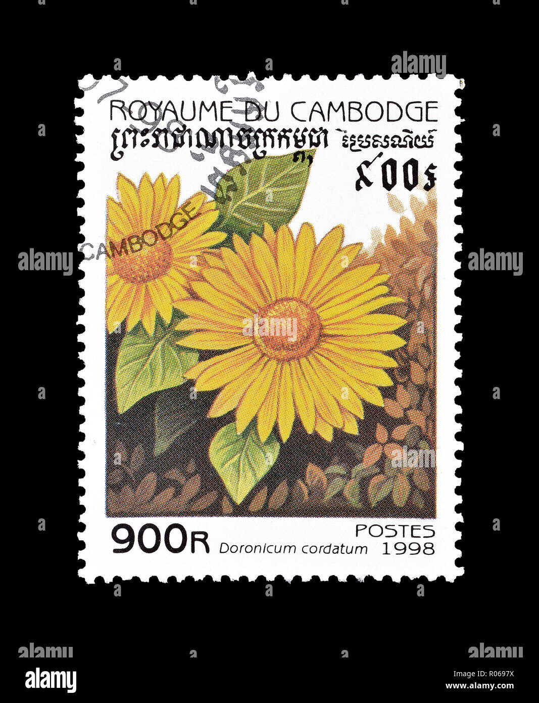 Cancelled postage stamp printed by Cambodia, that shows Doronicum columnae, circa 1998. Stock Photo