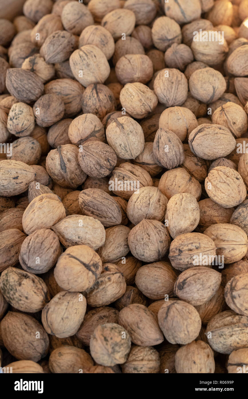 English walnut hires stock photography and images Alamy