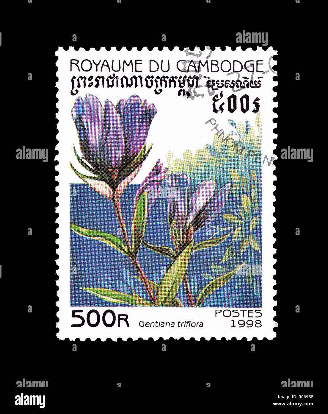 Cancelled postage stamp printed by Cambodia, that shows Gentiana triflora flower,circa 1998. Stock Photo