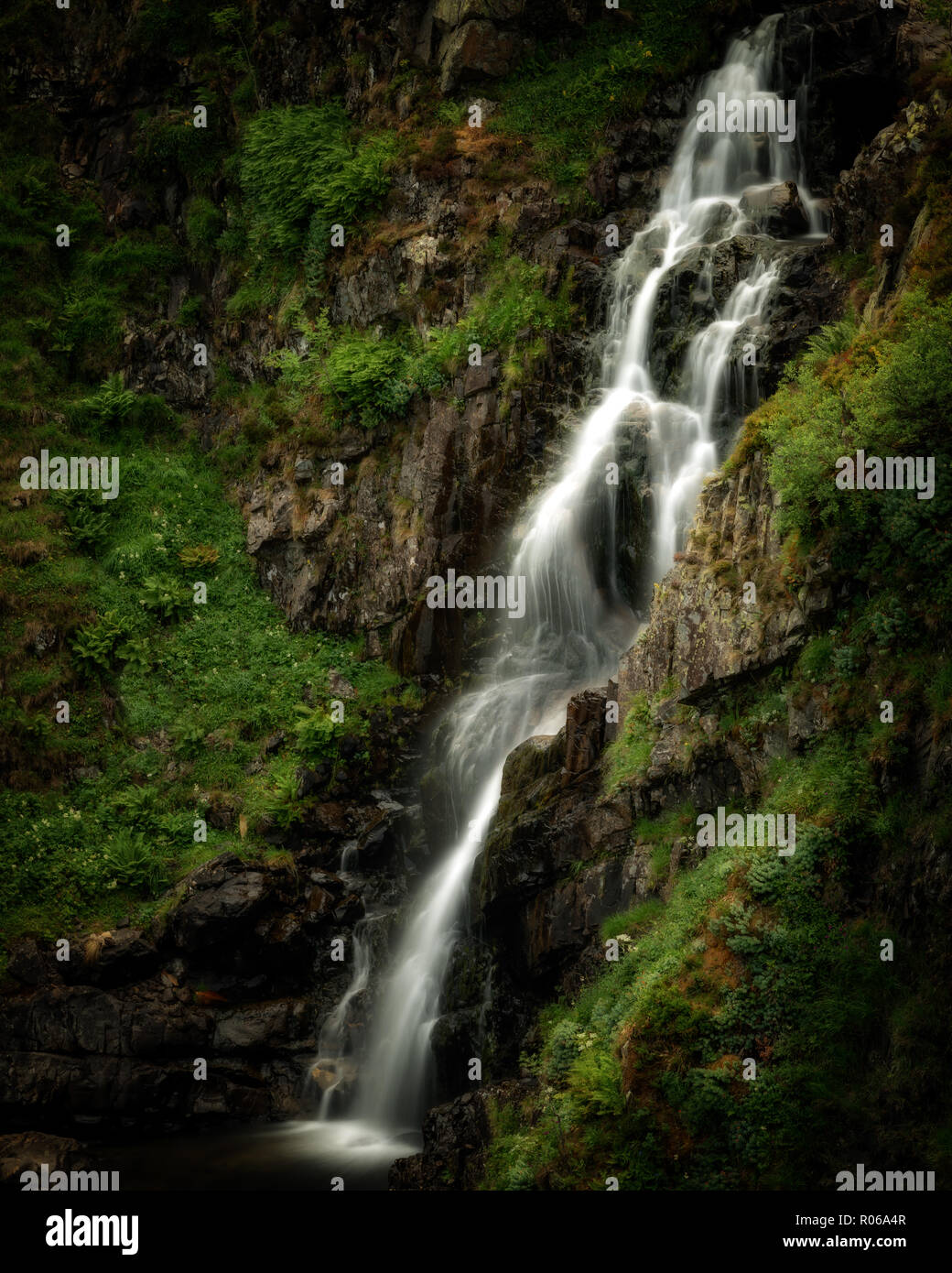 Grey Mare's Tail waterfall, Dumfries and Galloway, Scotland, United Kingdom, Europe Stock Photo