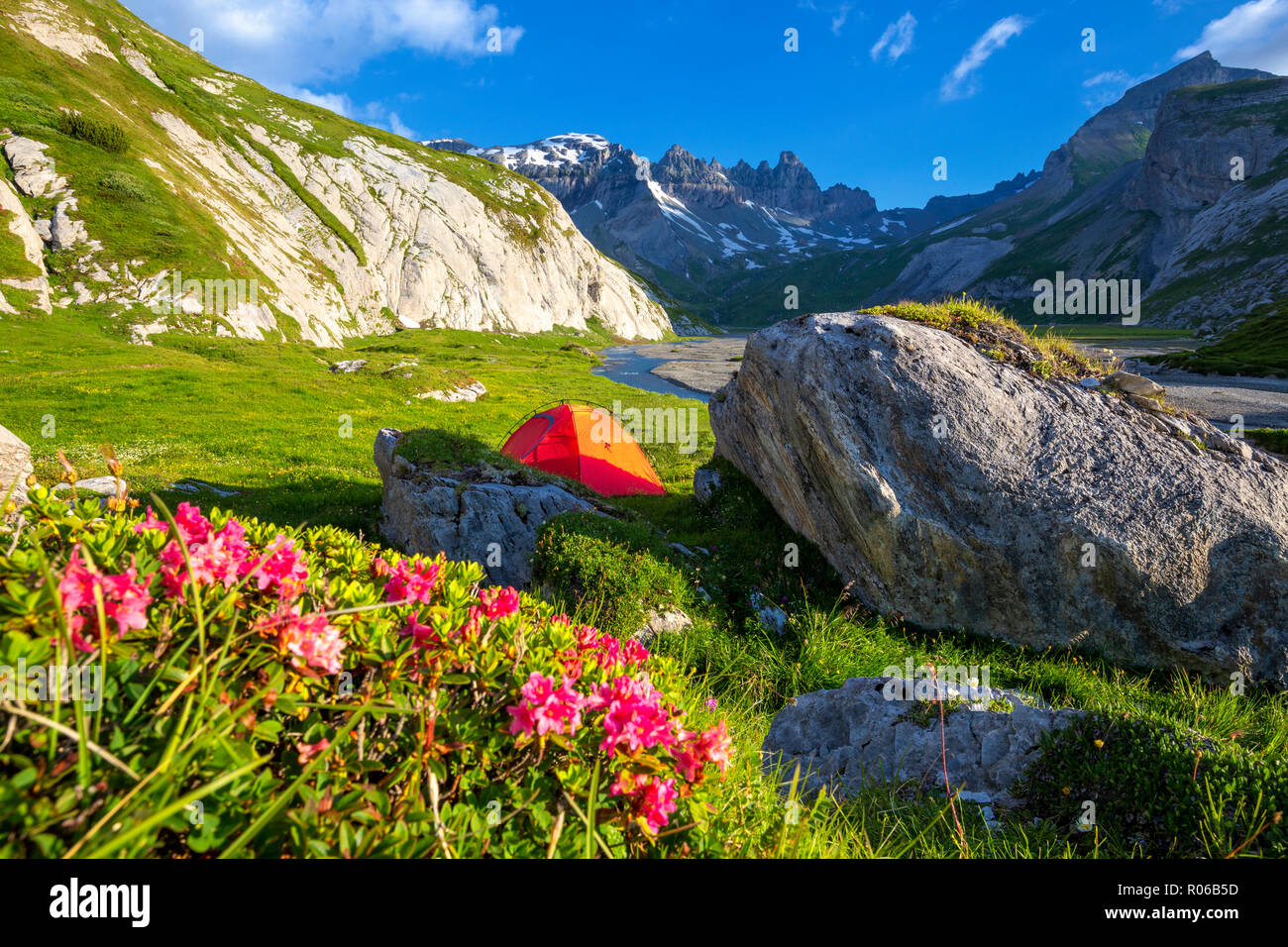 The sun illuminates a red tent, Unterer Segnesboden, Flims, District of Imboden, Canton of