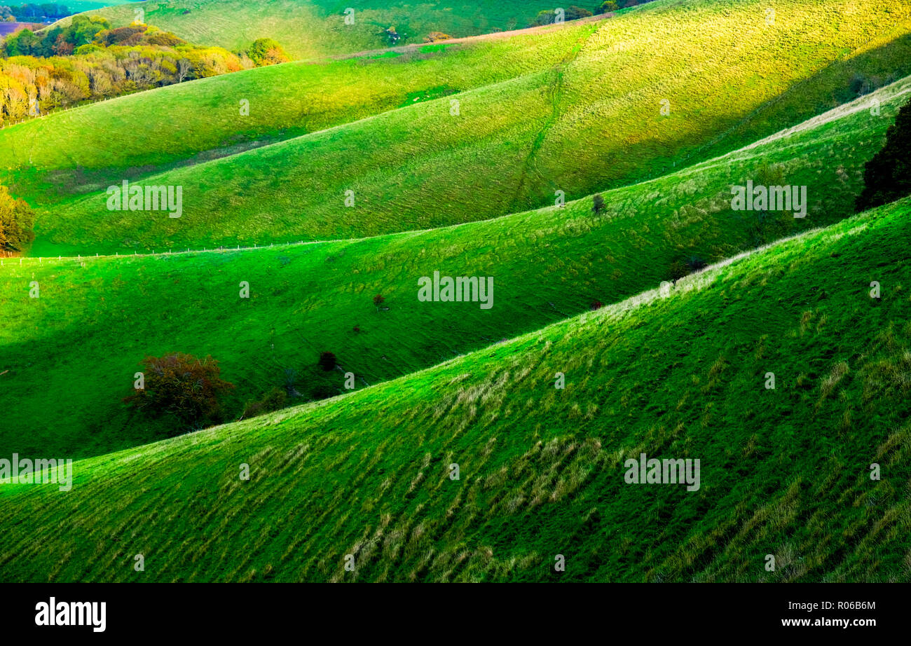 Green sussex rolling hills, the light is low casting high lights and shadows on to of the hills, there are four folds of hills in a line, Firle, East  Stock Photo