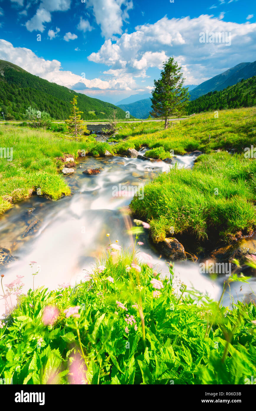 Stream in Stelvio National Park, Mortirolo Pass in Vall Camonica, Brescia, Lombardy dsitrict, Italy, Europe Stock Photo
