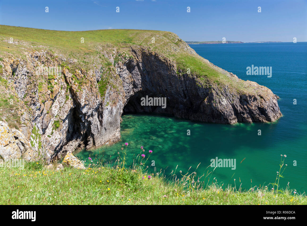 Barafundle Bay, Pembrokeshire Coast, Pembrokeshire, Wales, United Kingdom, Europe Stock Photo