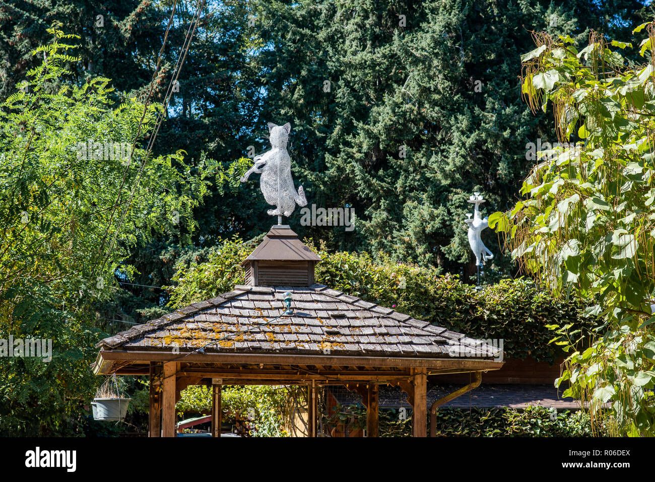 Comfy Cat Boarding Kennel,,Qualicum Beach,  British Columbia, Canada Stock Photo