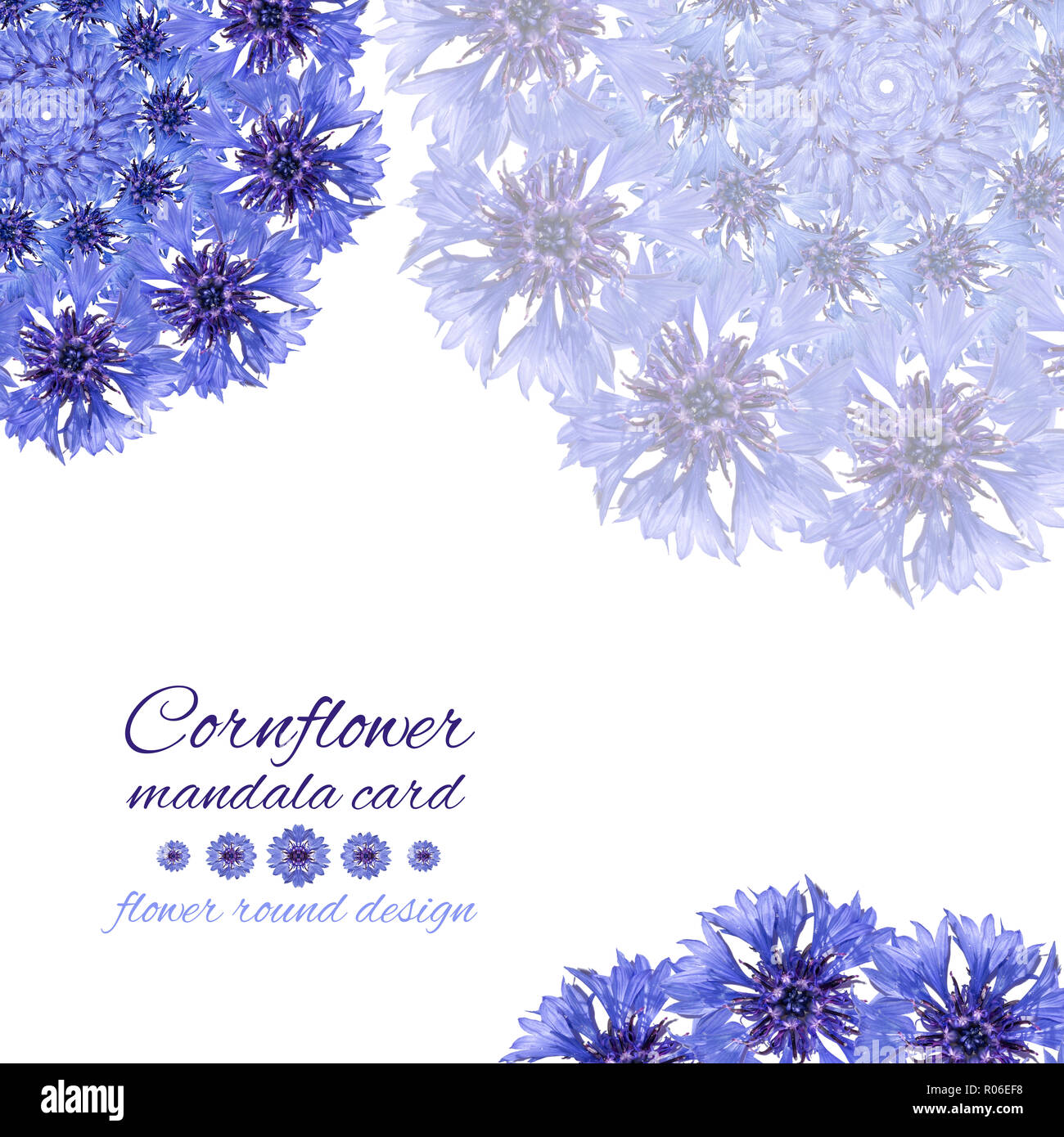 Card with flower mandala. Cornflower blue circular design Stock Photo ...