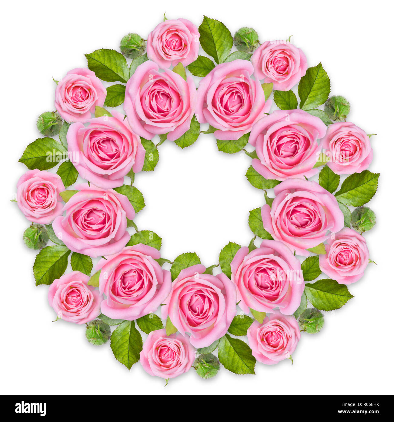 Rond frame Wreath made of pink roses isolated on white background. Gentle circular floral ornament. Flower mandala Stock Photo