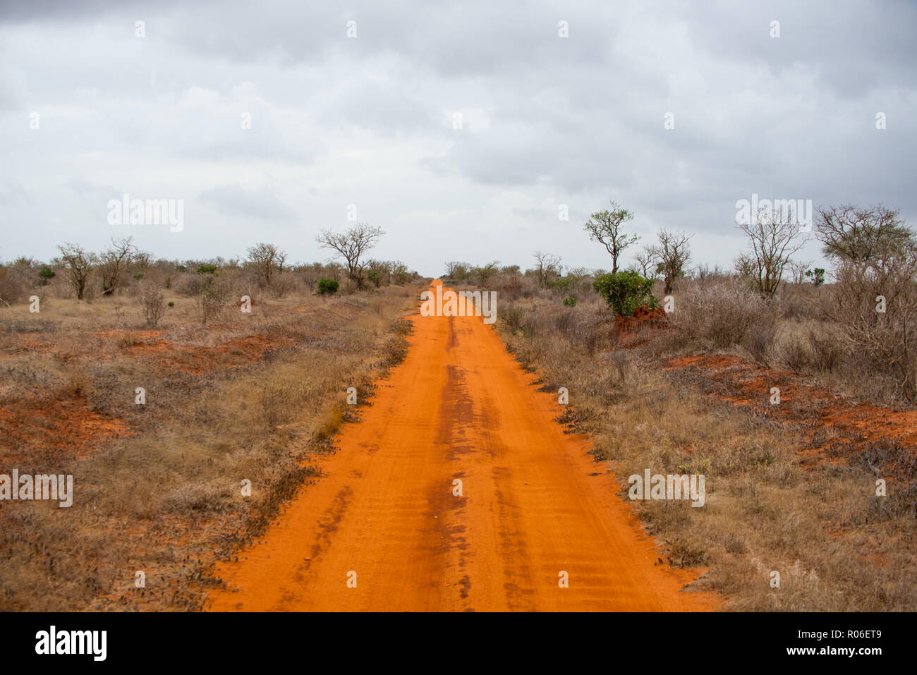 red brown dirt road through savannah in Tsavo East National park, Kenya, Africa Stock Photo