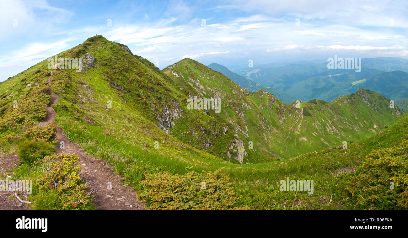 Winding path to a majestic green and rocky mountain peak among rugged hills covered in green lush grass. Sunny cloudy day in summer in June. Maramures Stock Photo