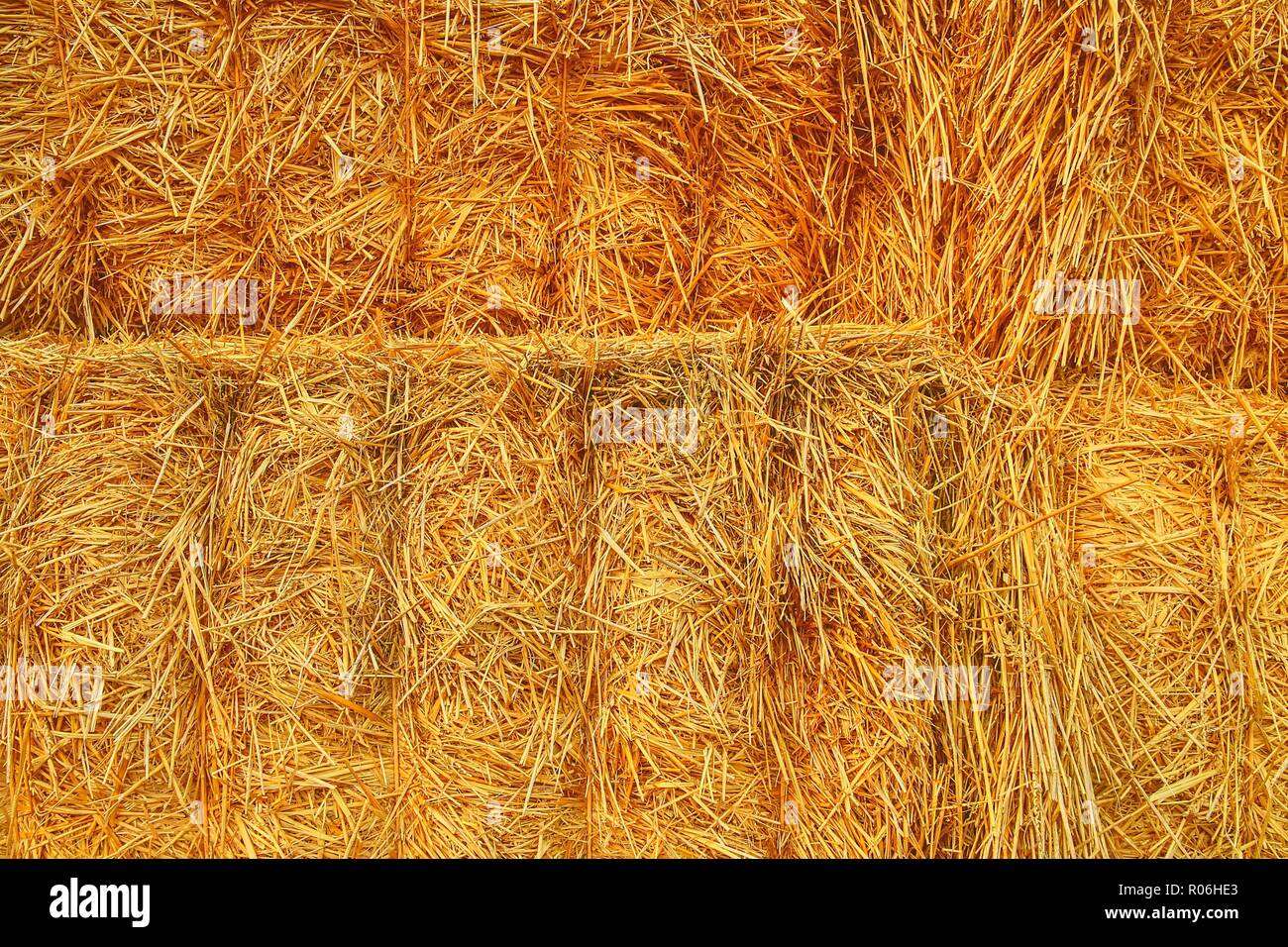 Yellow dry hay background texture. A stack of straw bales background ...