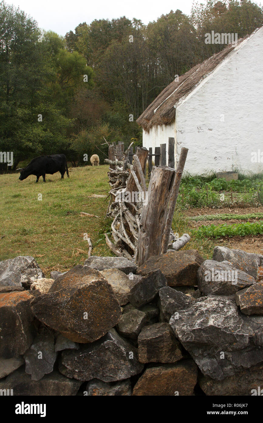 Farm animals grazing on the Irish Farm at the Frontier Culture Museum in Staunton, VA, USA Stock Photo
