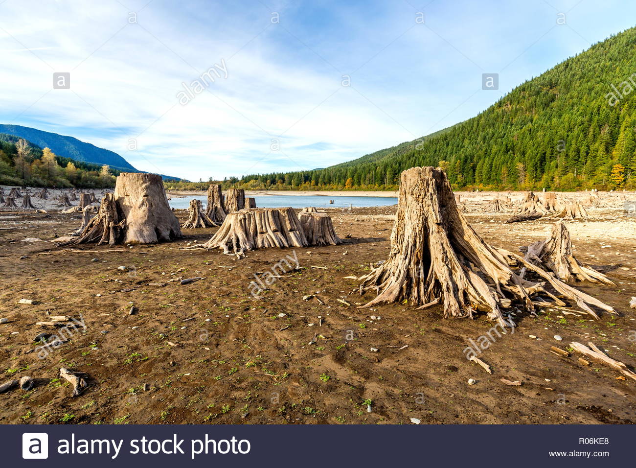 Tree Stumps Mountain Stock Photos & Tree Stumps Mountain Stock Images