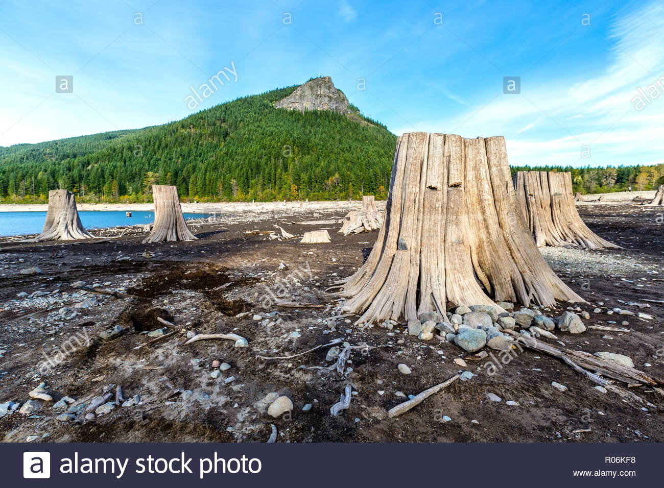 Tree Stumps Mountain Stock Photos & Tree Stumps Mountain Stock Images