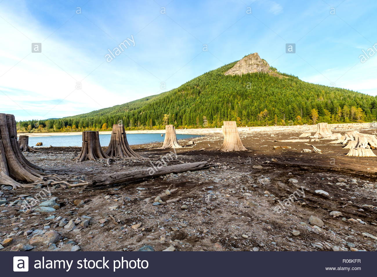 Tree Stumps Mountain Stock Photos & Tree Stumps Mountain Stock Images