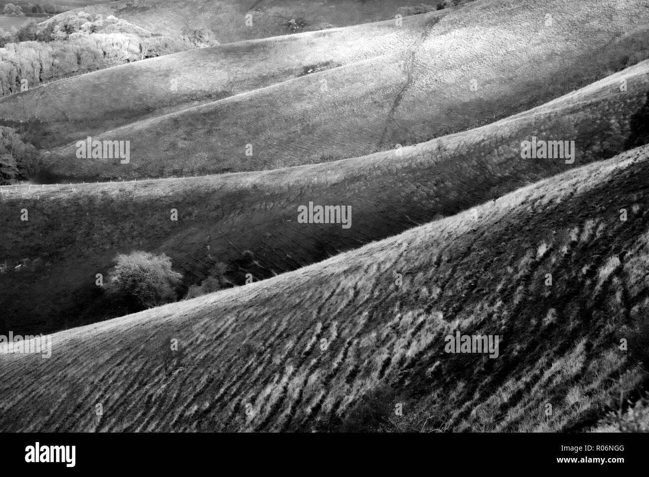 Black and white photograph of sussex rolling hills, the light is low casting high lights and shadows on to of the hills, there are four folds of hills Stock Photo