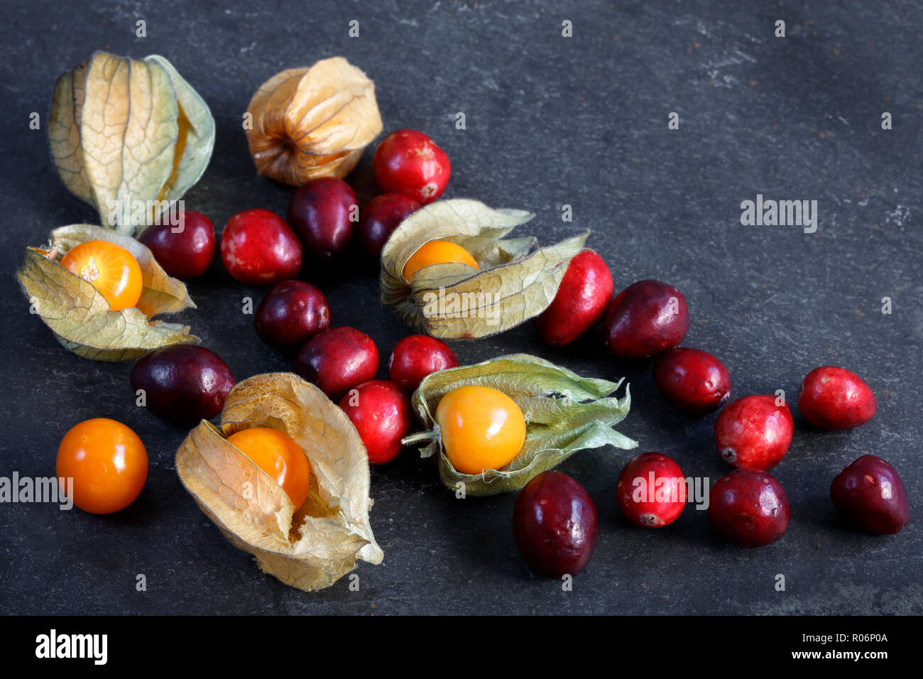 Arrangement of cape gooseberries - physalis with cranberries on slate with copy space Stock Photo