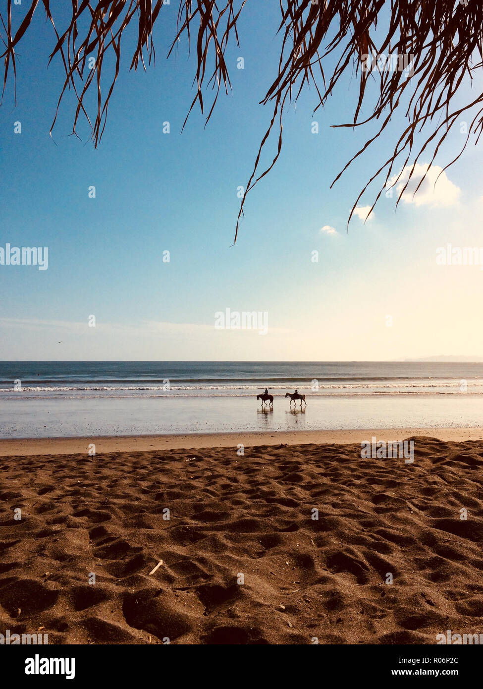 two people riding horses at beach with ocean horizon background Stock Photo