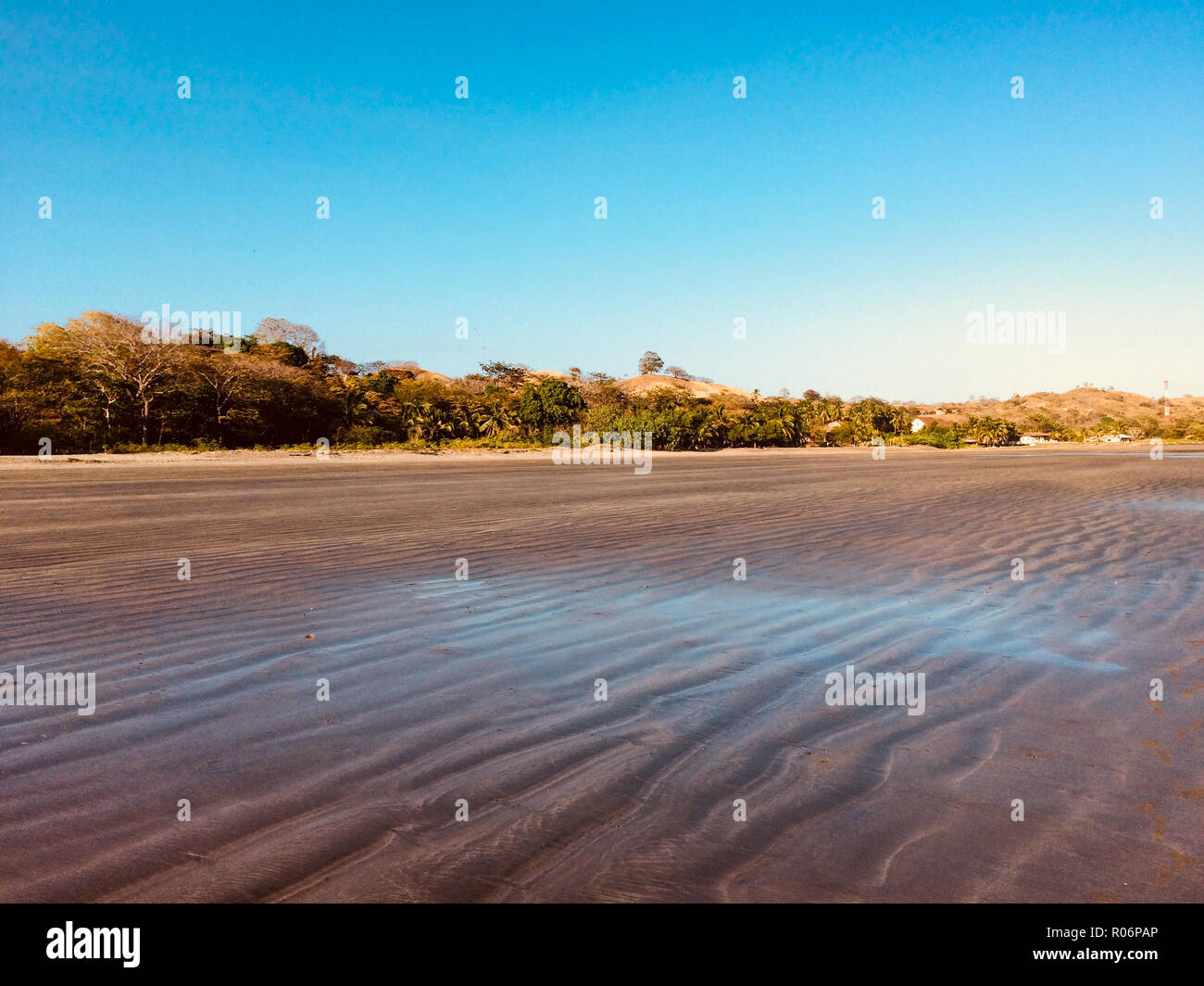 beach landscape with clear blue sky on sunny summer day Stock Photo